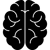 brain